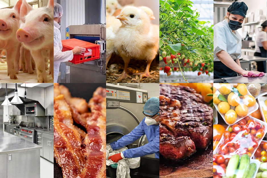 CATALOGO ALIMENTARIO